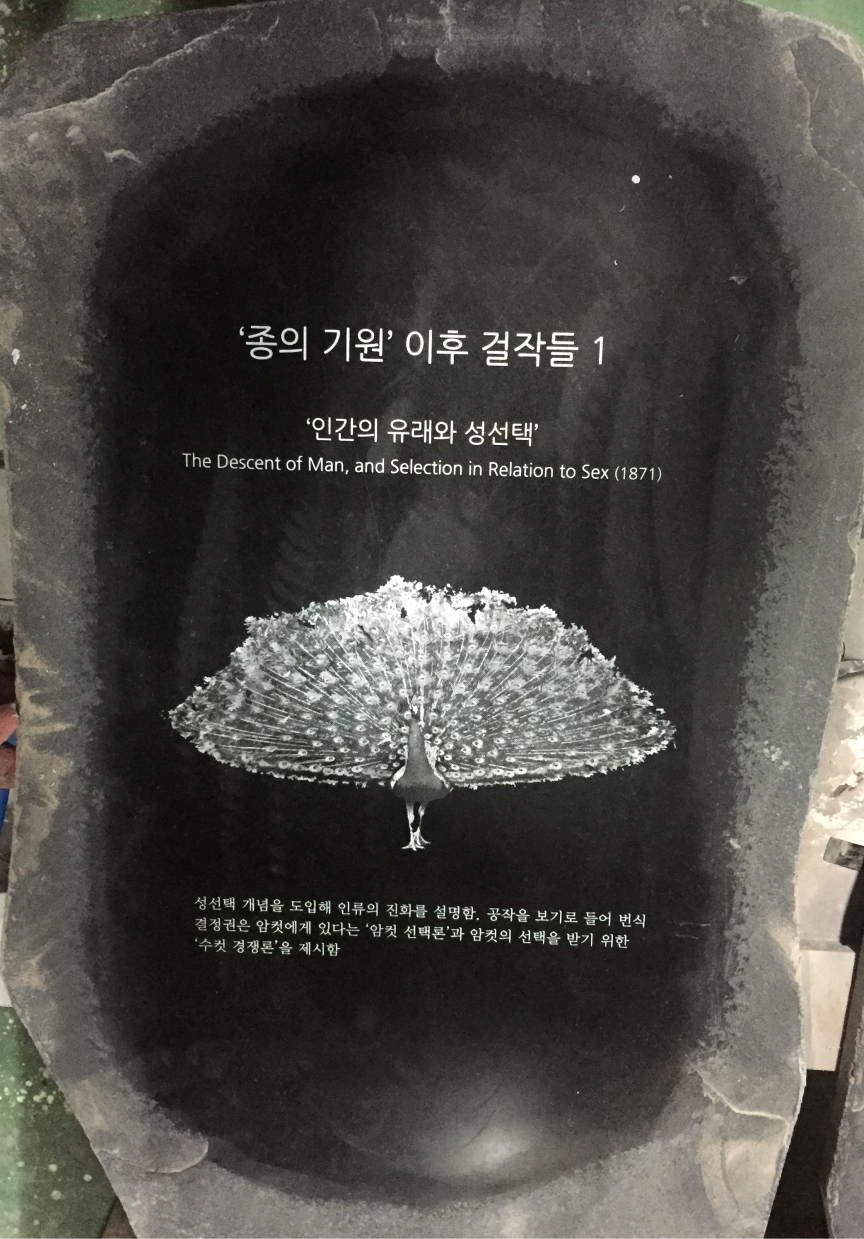 포토 갤러리